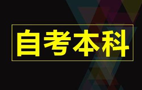 成教西昌学院的专业好考吗？